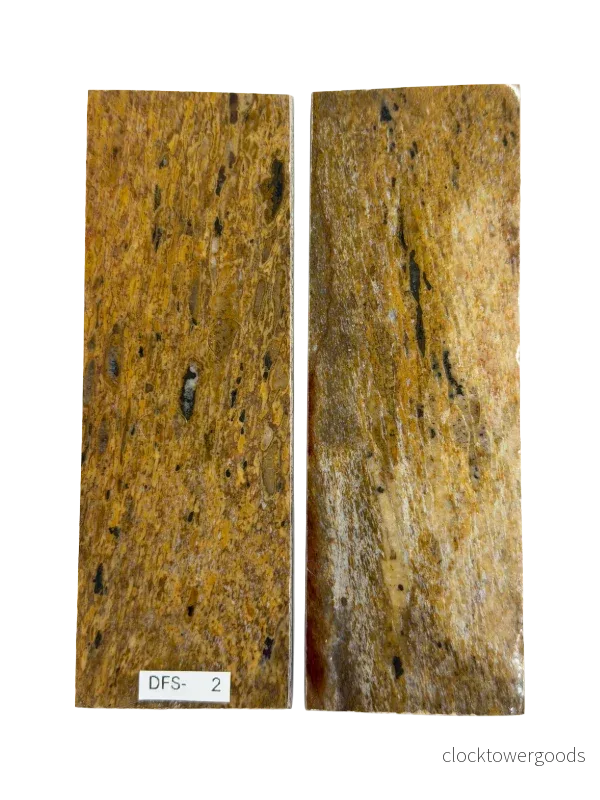 Skaftplattset av dinosauriefossil DFS-2