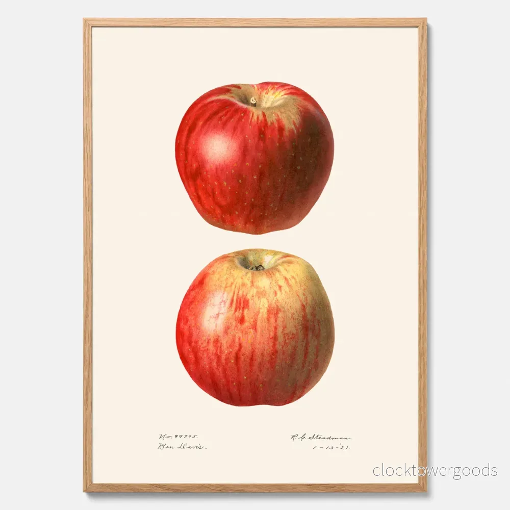 Äpple No.2 poster Äpple No.2 poster