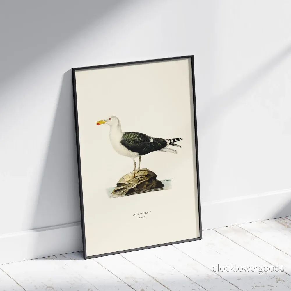 Havstrut poster - Bild 2