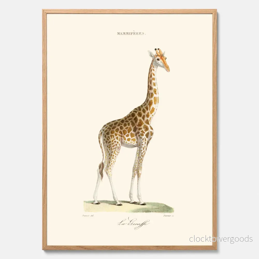 Giraff poster Giraff poster