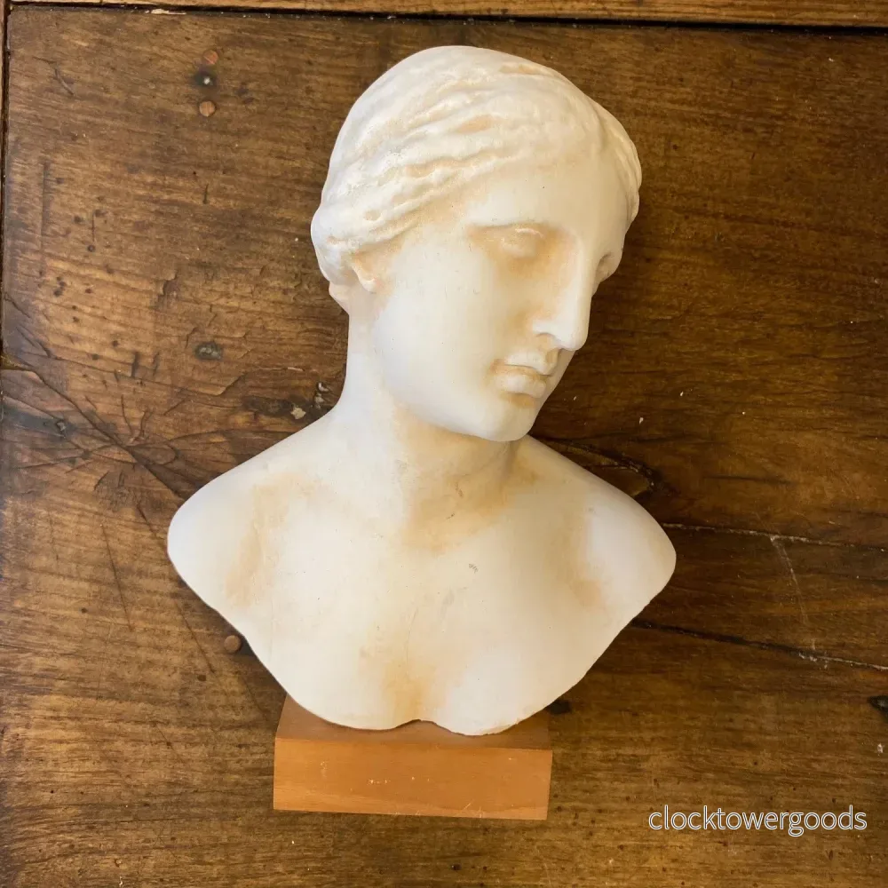 Vintage Classical Bust – 29 cm