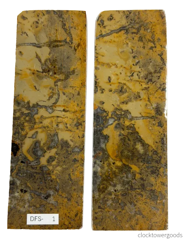 Dinosauriefossil – skaftplattset DFS-1