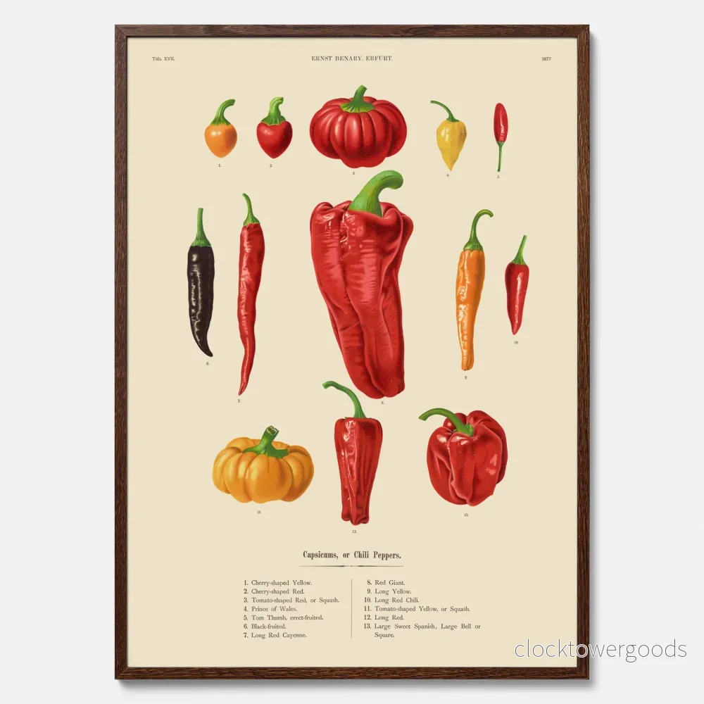 Chilifrukter poster - Bild 3