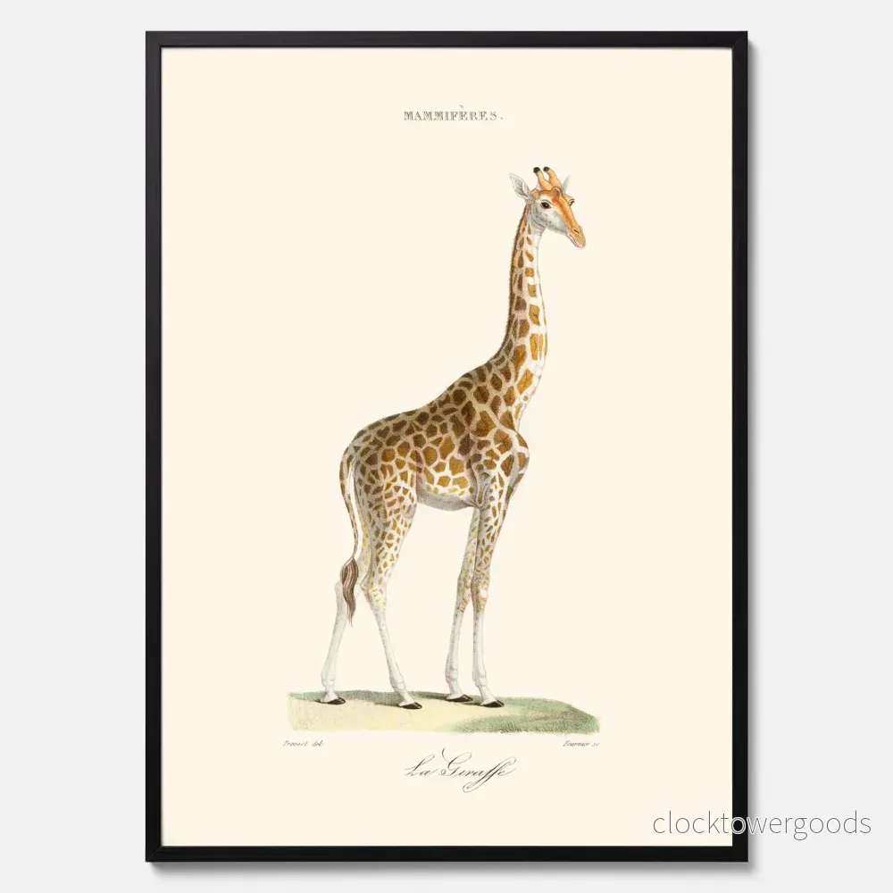 Giraff poster - Bild 3