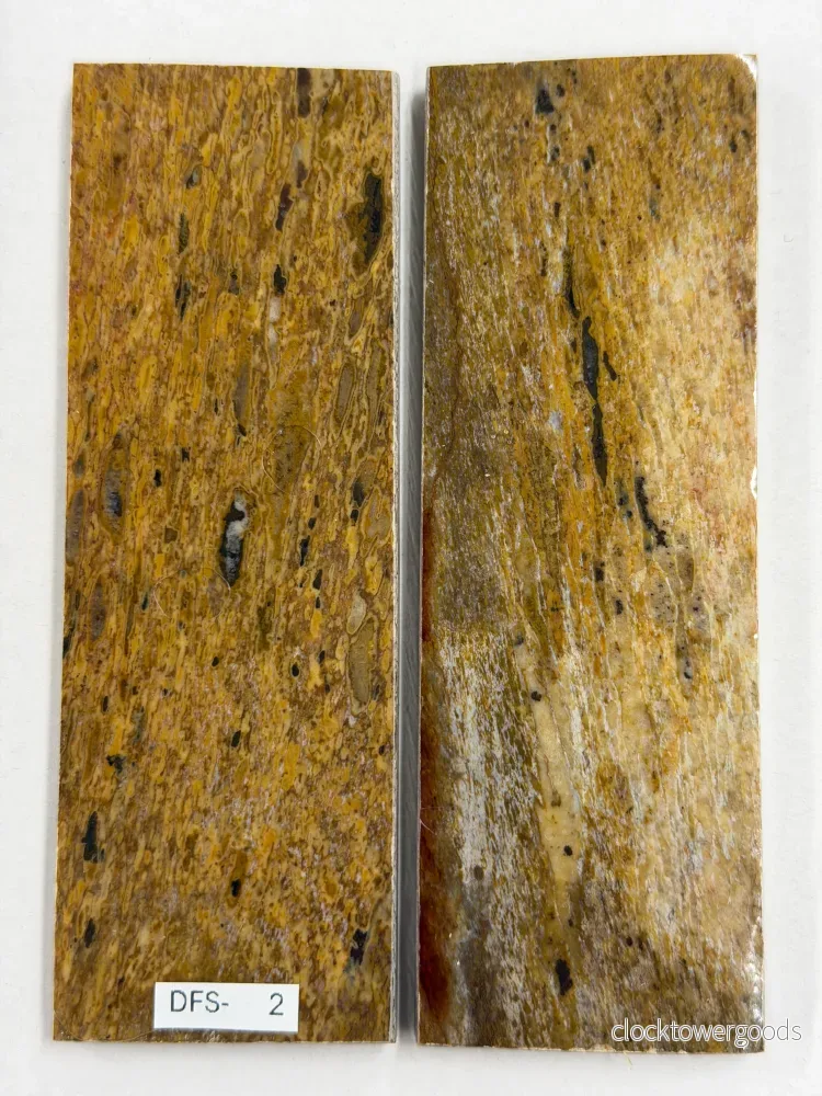 Skaftplattset av dinosauriefossil DFS-2 - Bild 2