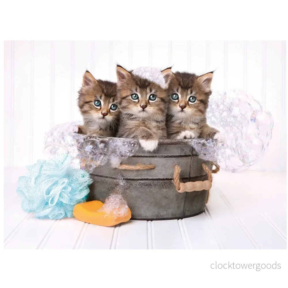 Kattungar i en badbalja