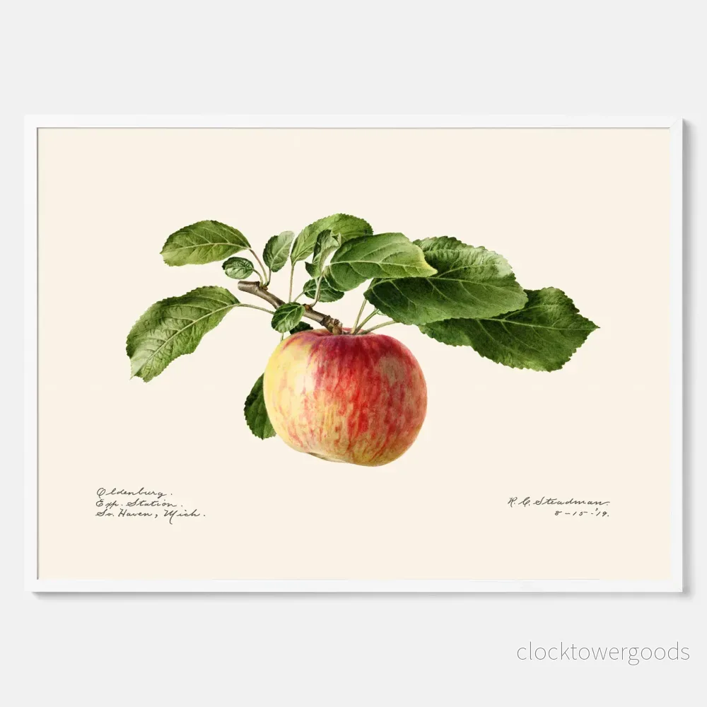 Äpple poster - Bild 3