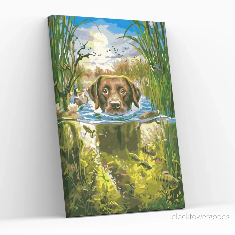 SIMNING LABRADOR SIMNING LABRADOR