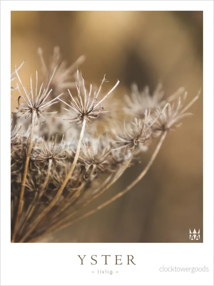 Yster Poster - Bild 2