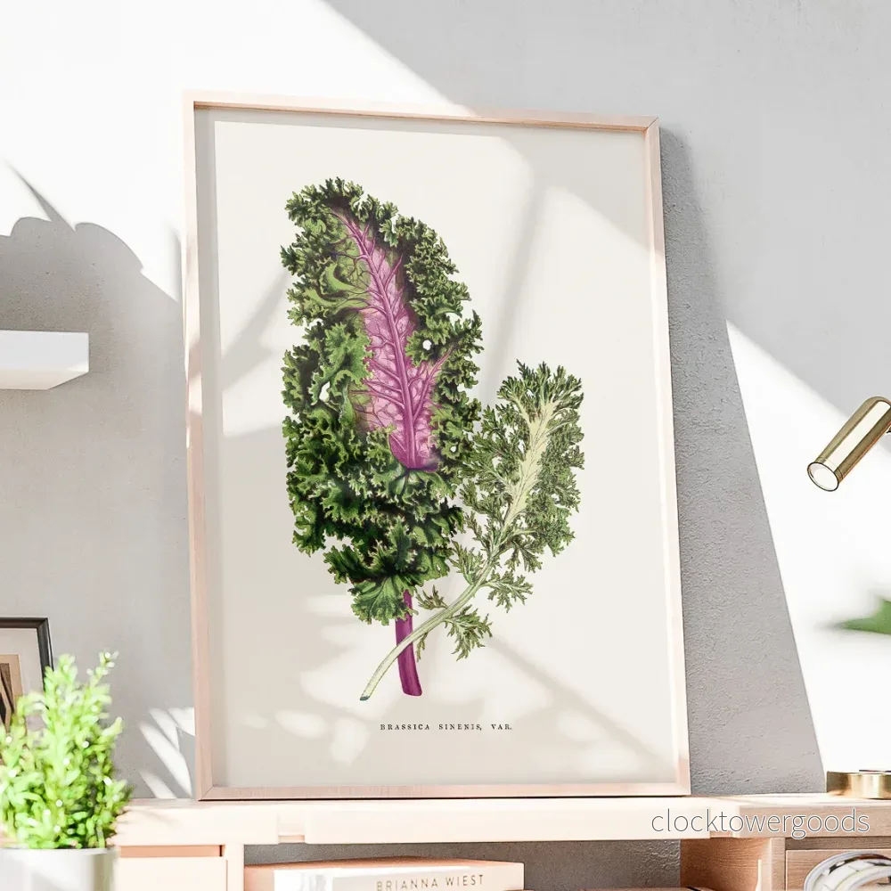 Brassica Sinenis poster - Bild 2
