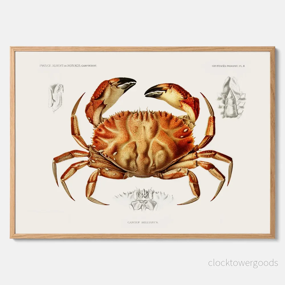 Krabba poster Krabba poster