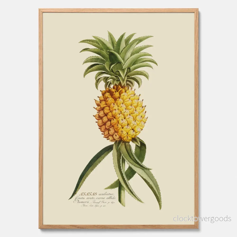 Ananas poster Ananas poster