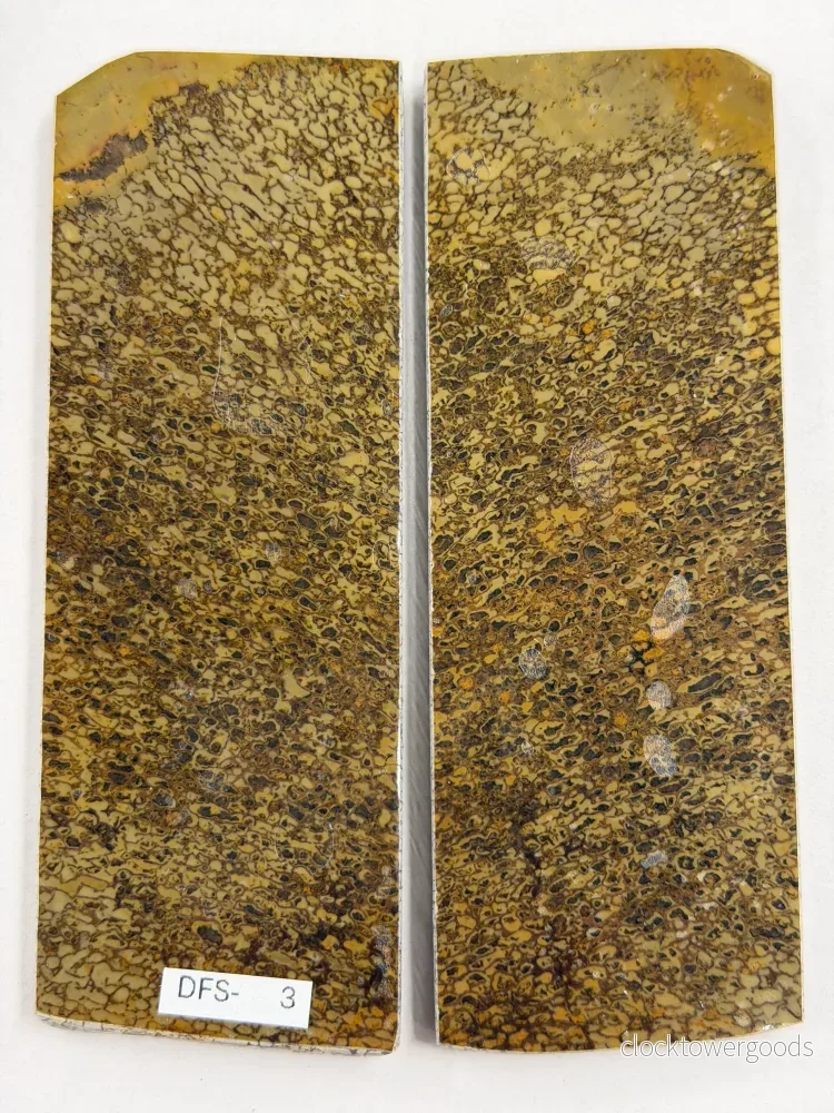 Skaftplattset av dinosauriefossil DFS-3 - Bild 2