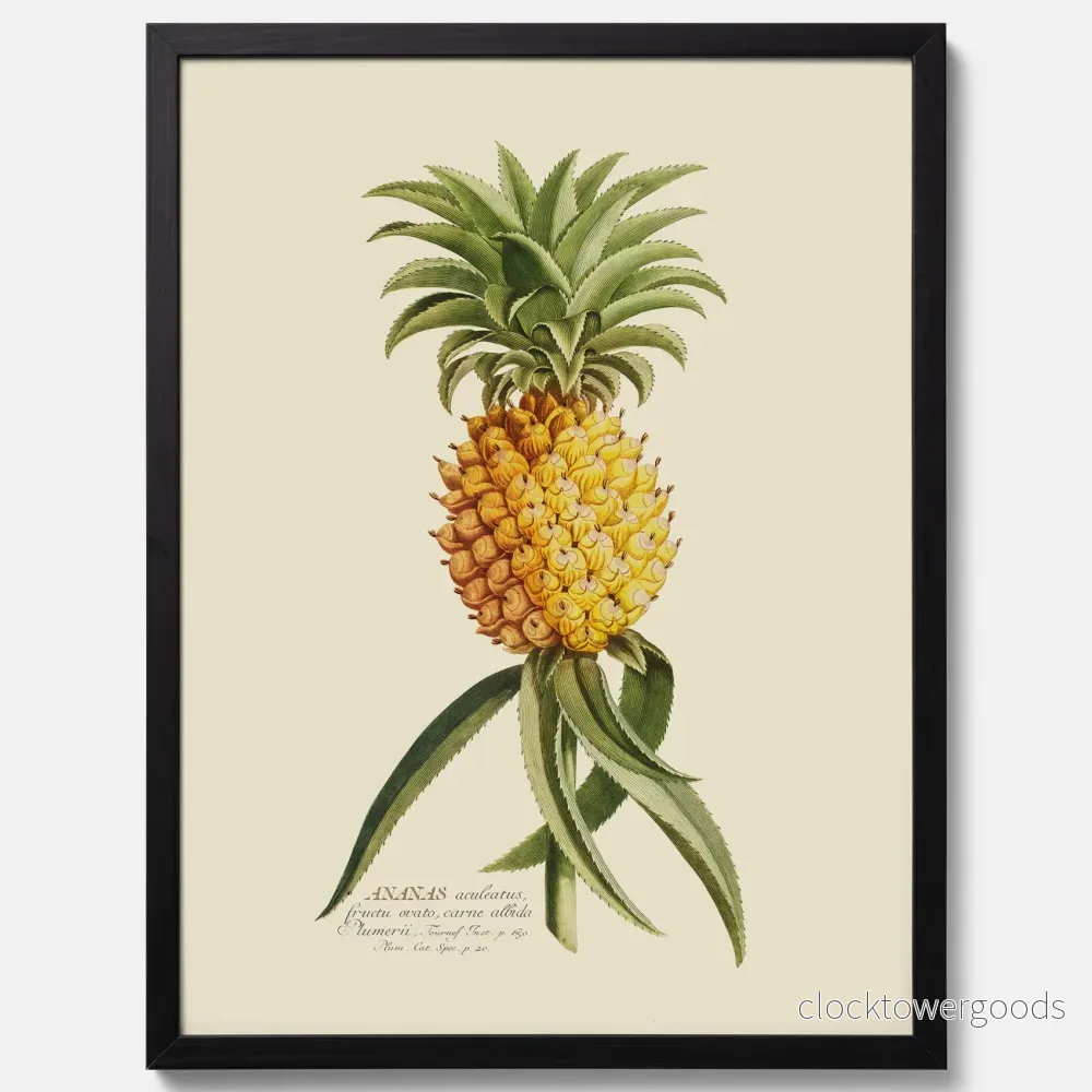 Ananas poster - Bild 3