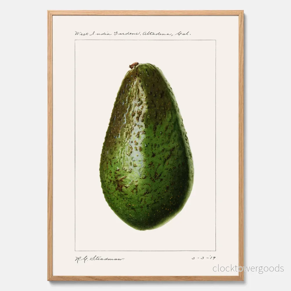 Avokado poster Avokado poster