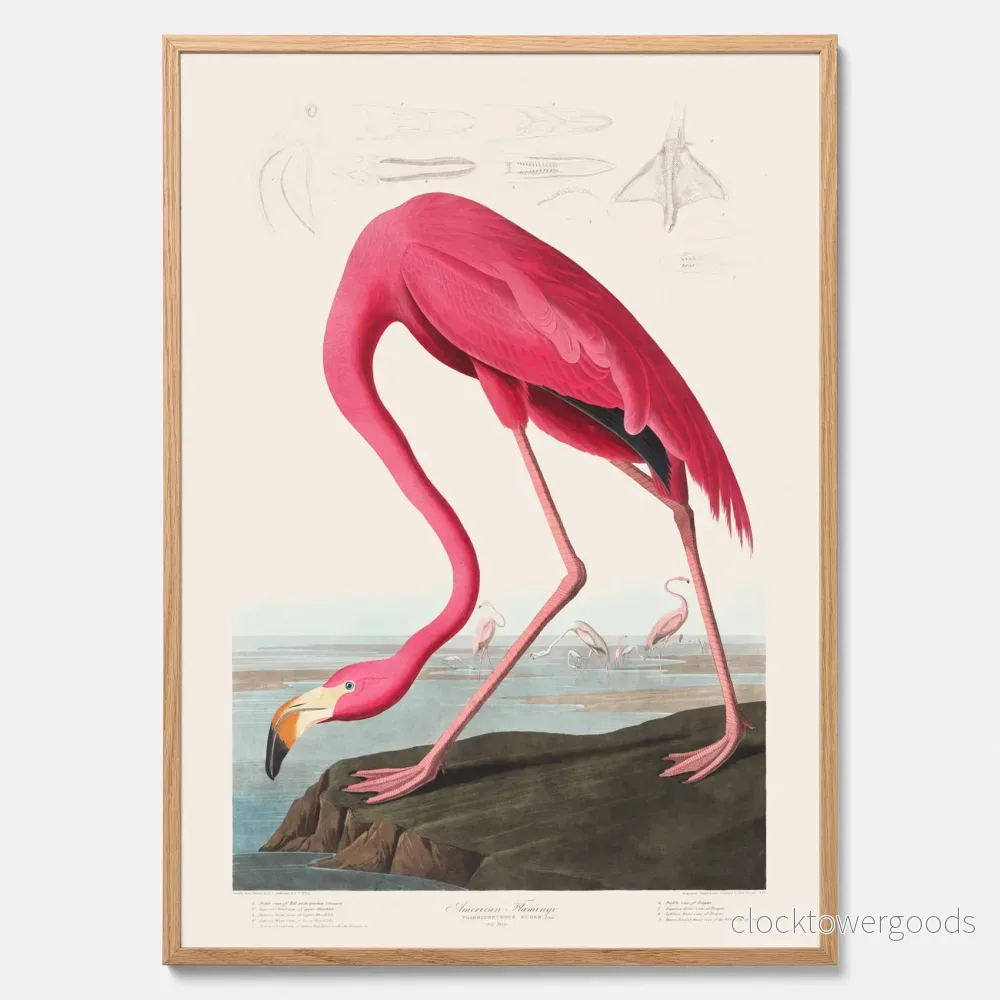 Rosa Flamingo poster Rosa Flamingo poster