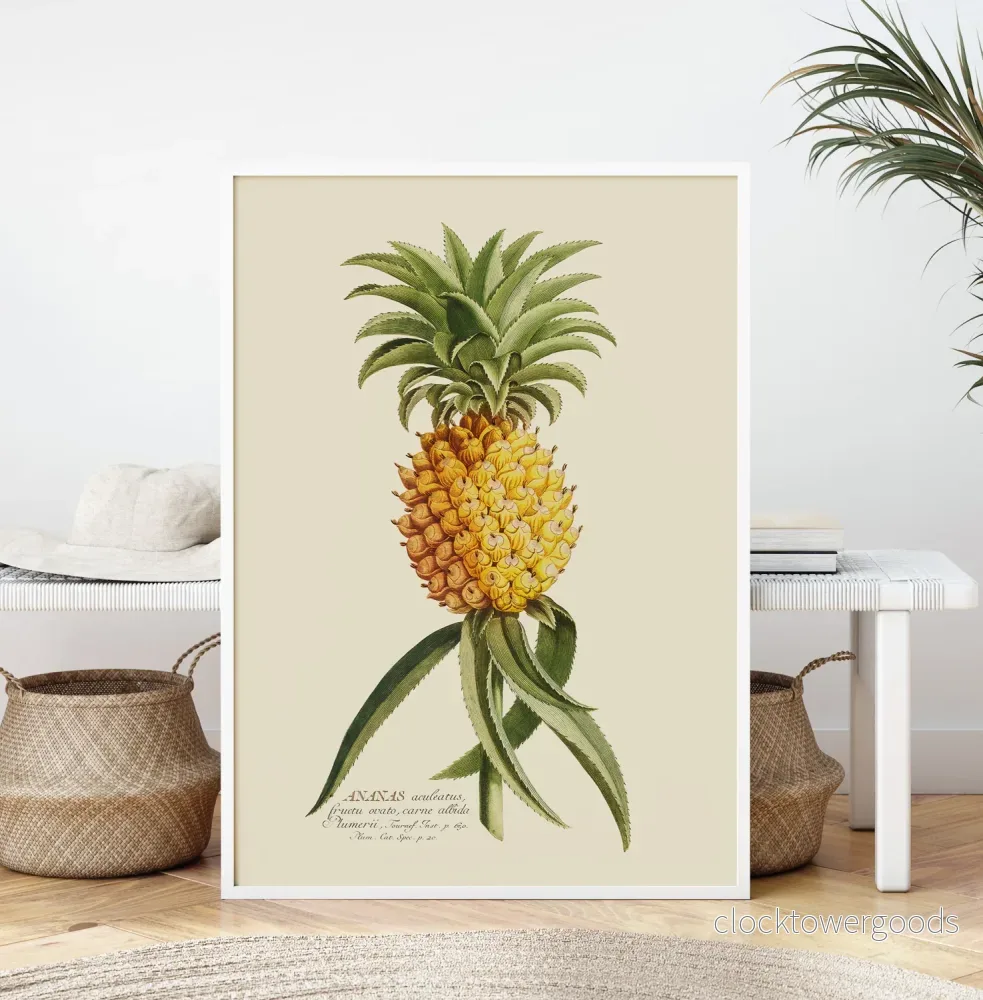Ananas poster - Bild 2