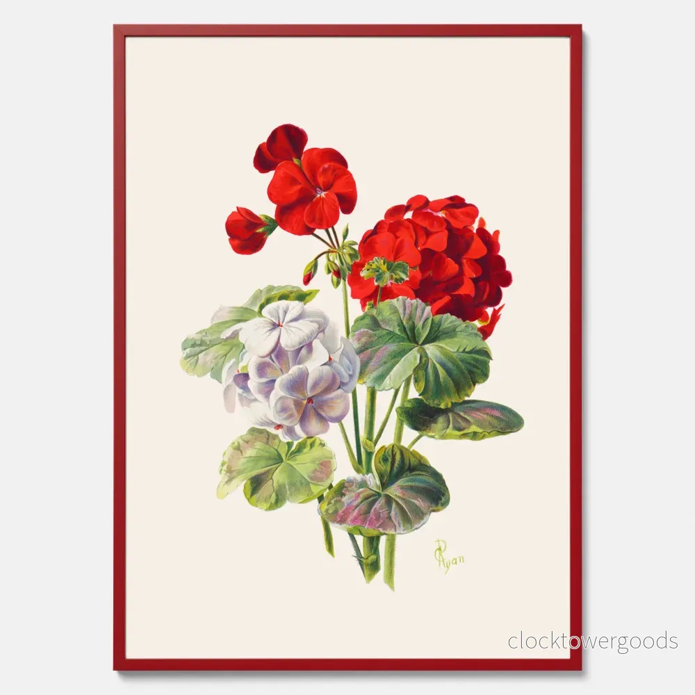 Geranium poster - Bild 3