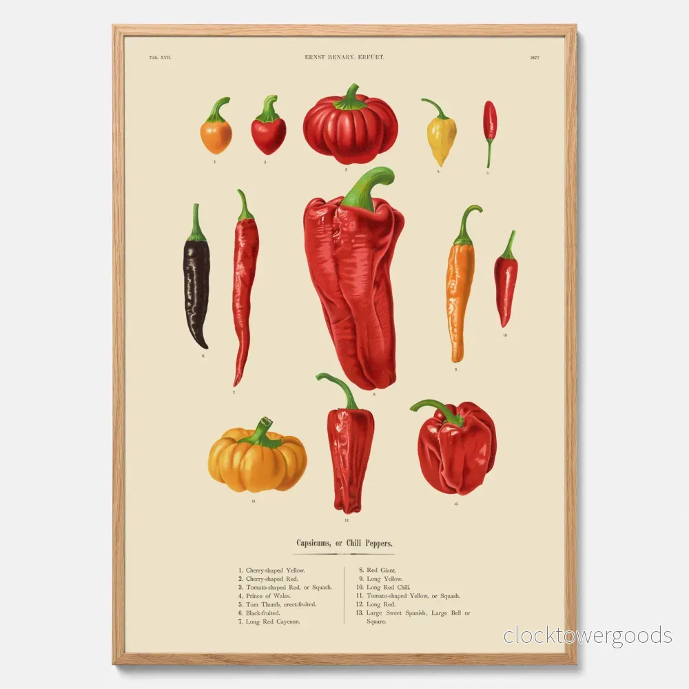 Chilifrukter poster Chilifrukter poster