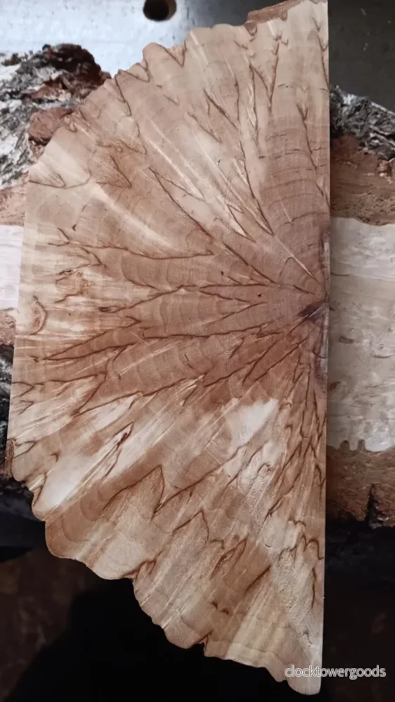 Naturell masurbjörk, tvärsågad (X-cut), ca 30x40x140 mm - Bild 2