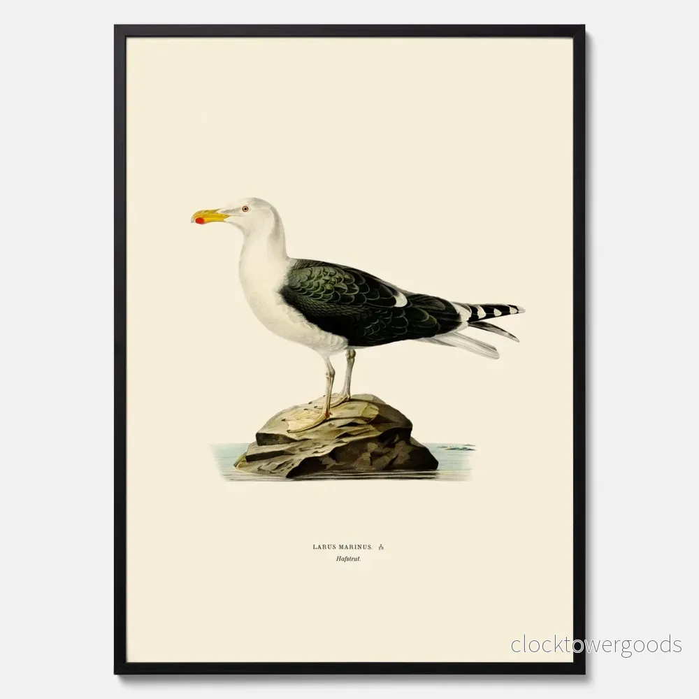 Havstrut poster - Bild 3
