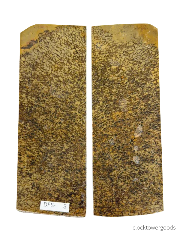 Skaftplattset av dinosauriefossil DFS-3