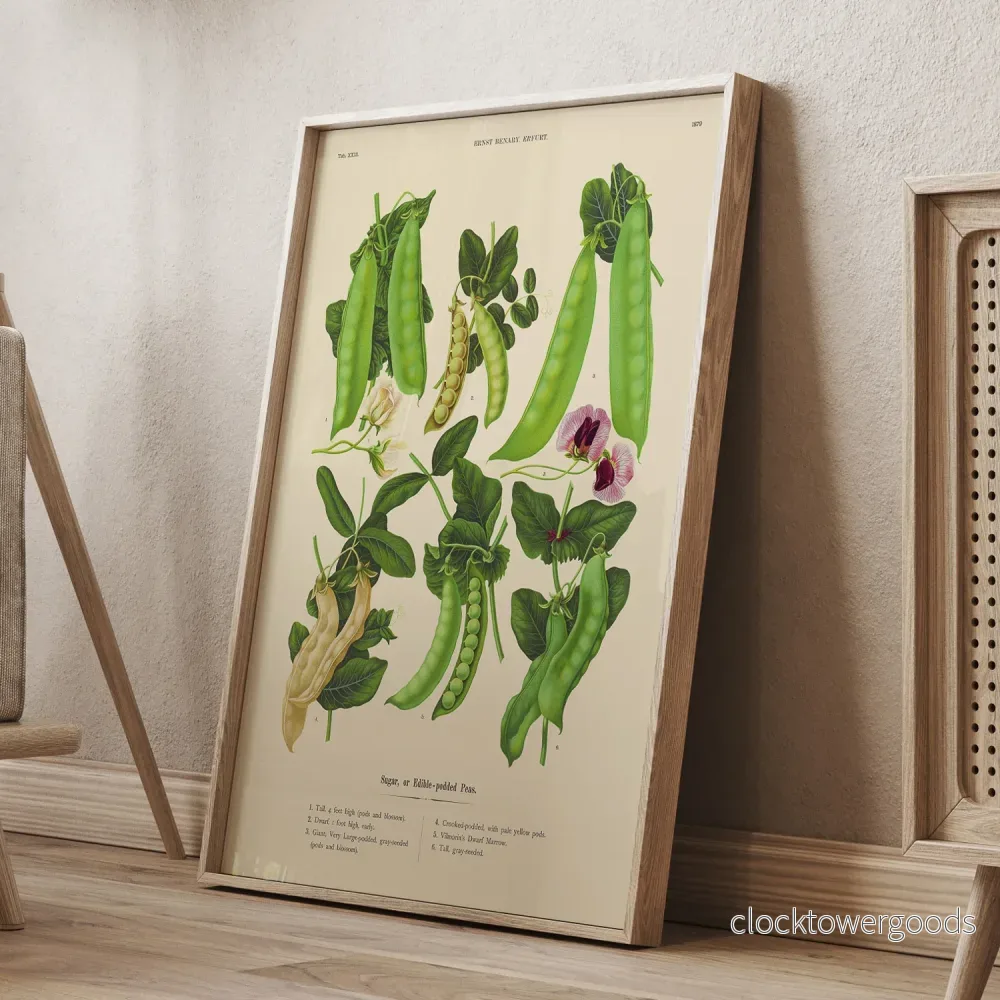 Sockerärtor poster - Bild 2
