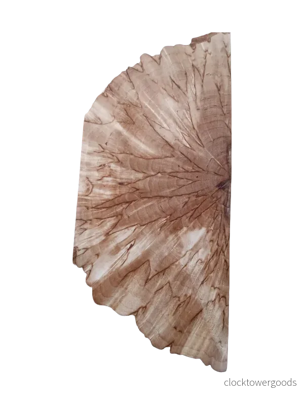 Naturell masurbjörk, tvärsågad (X-cut), ca 30x40x140 mm Naturell masurbjörk, tvärsågad (X-cut), ca 30x40x140 mm