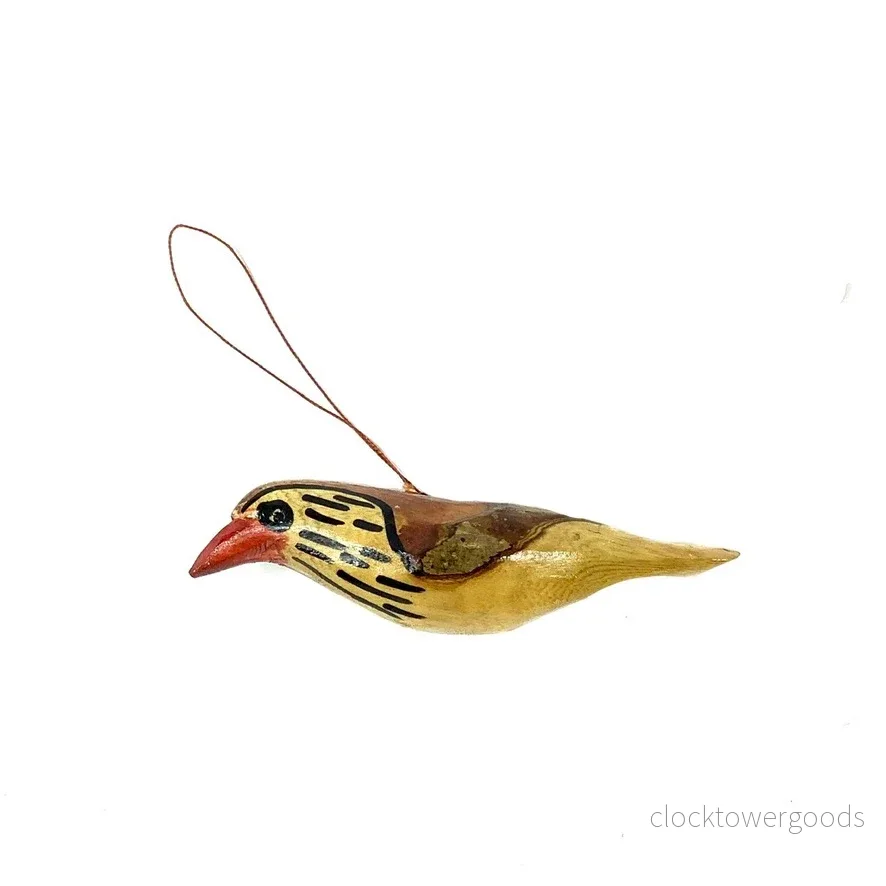 Fågel, Natur