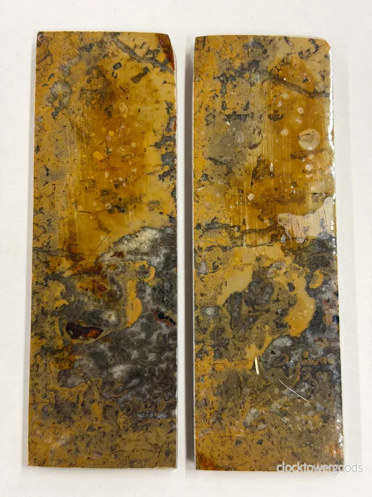 Dinosauriefossil – skaftplattset DFS-1 - Bild 3
