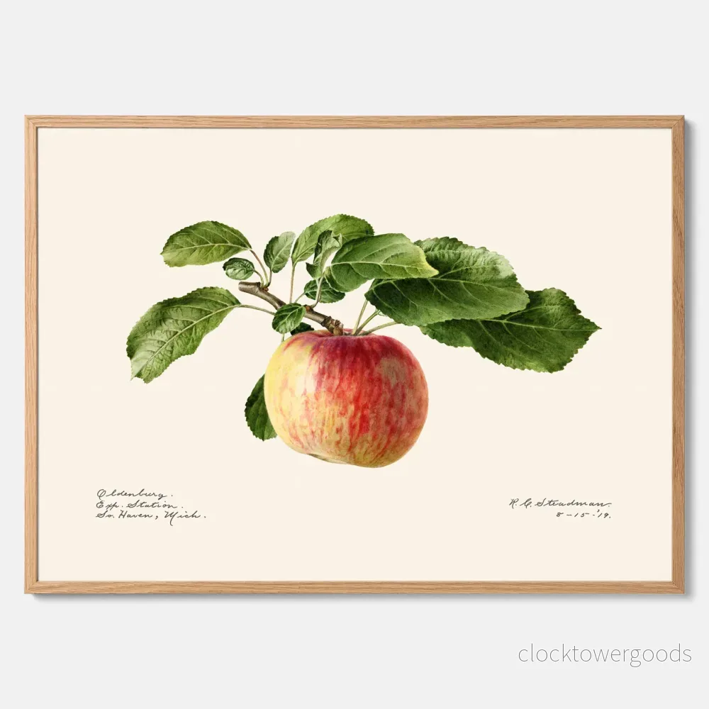 Äpple poster Äpple poster