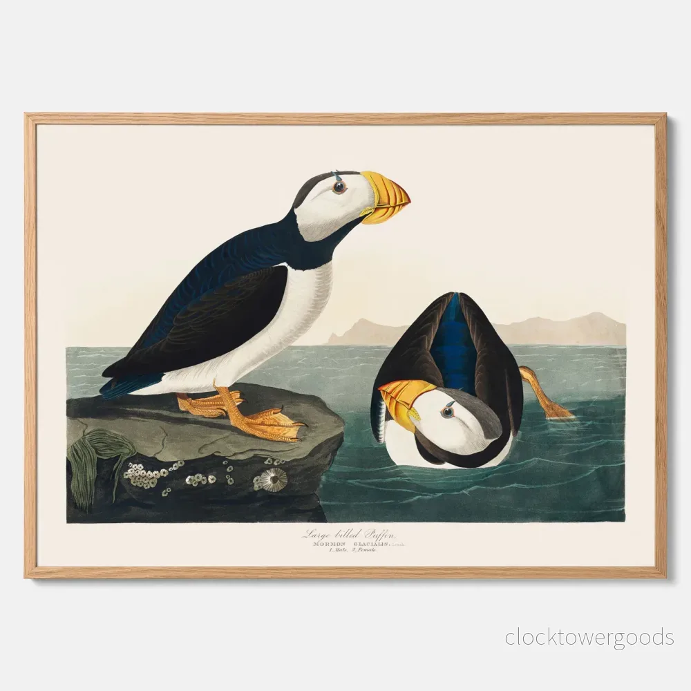 Lunnefågel ”Puffin” poster No.2 Lunnefågel ”Puffin” poster No.2