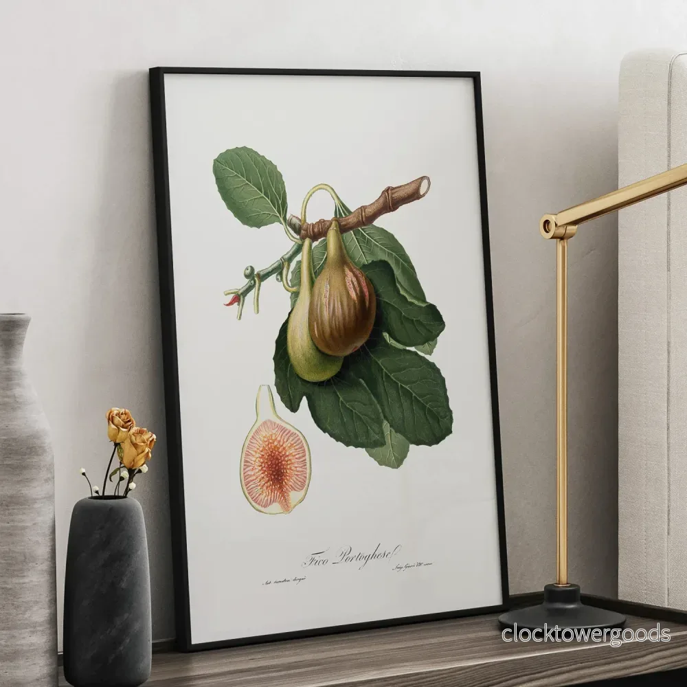 Fikon poster - Bild 2