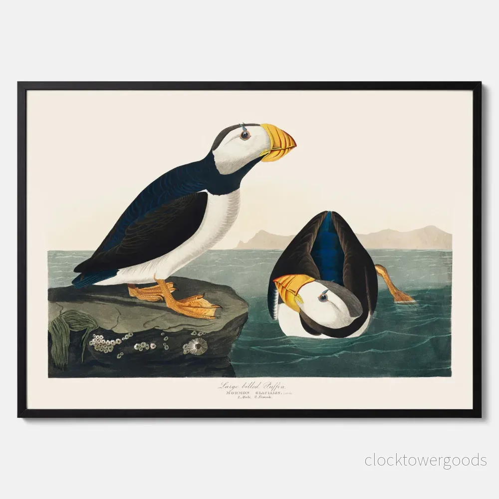 Lunnefågel "Puffin" poster No.2 - Bild 3