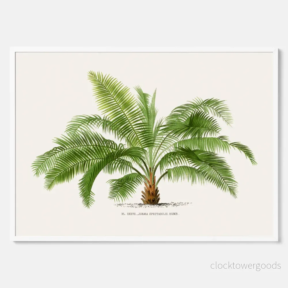 Palmträd poster - Bild 3