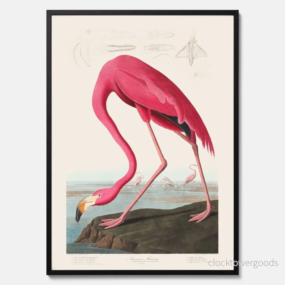 Rosa Flamingo poster - Bild 3