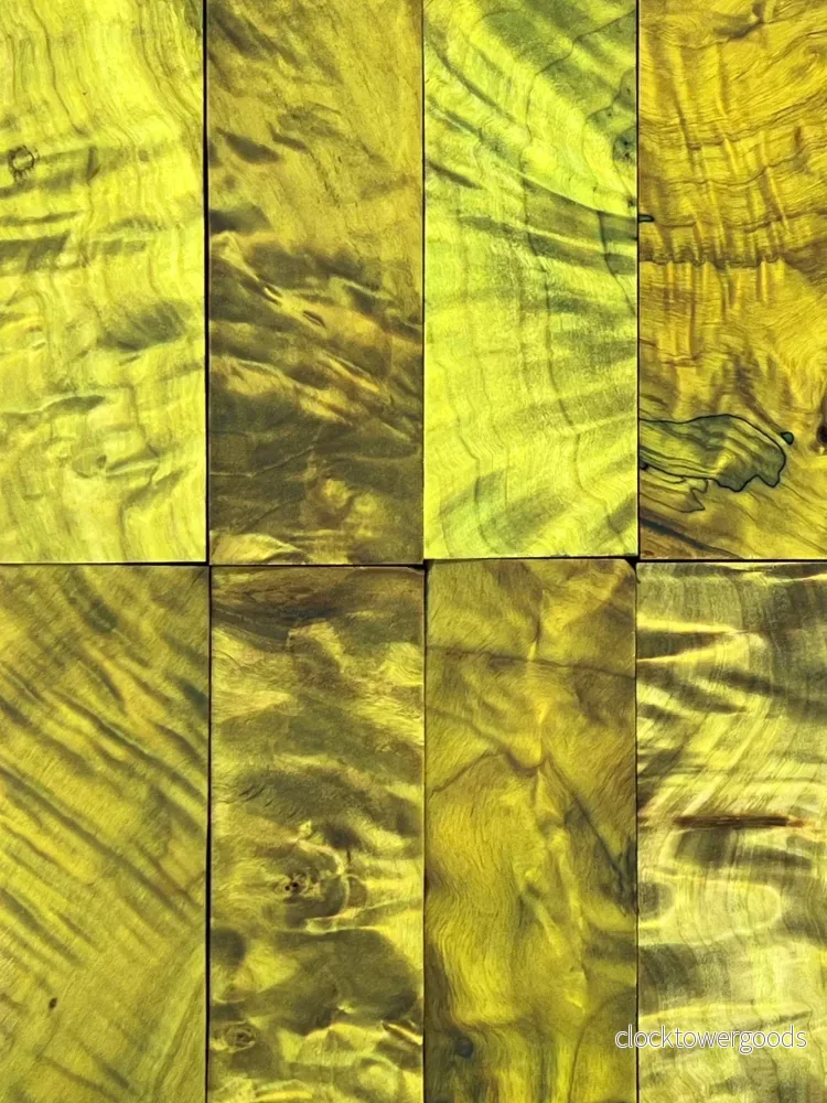 Flammig poppel – Lime - Bild 2
