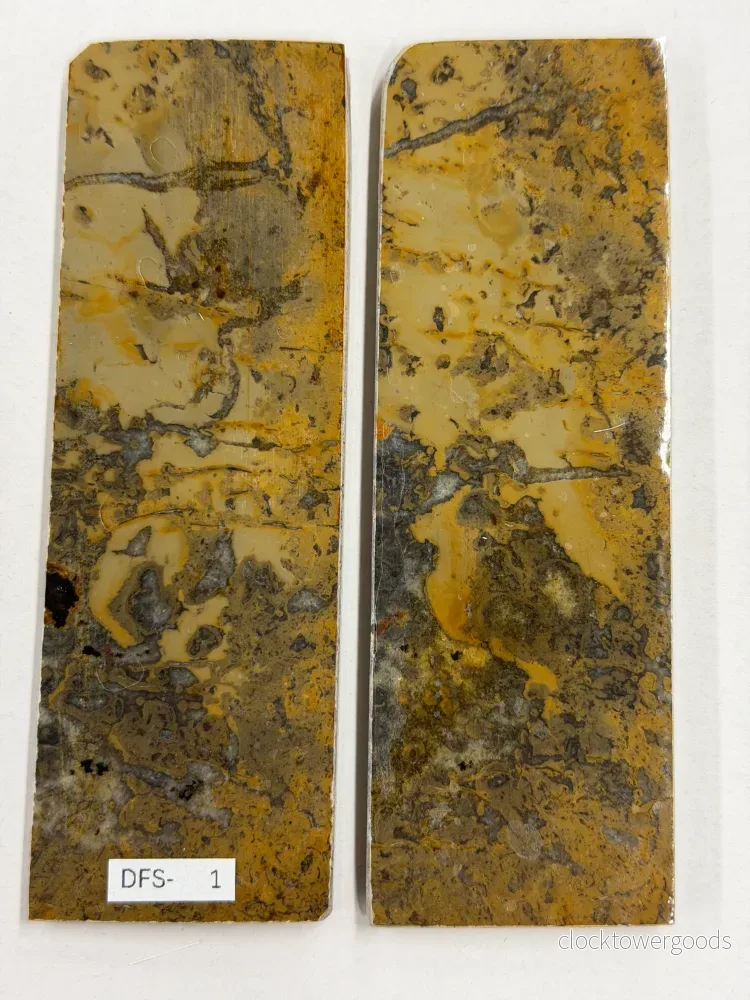 Dinosauriefossil – skaftplattset DFS-1 - Bild 2