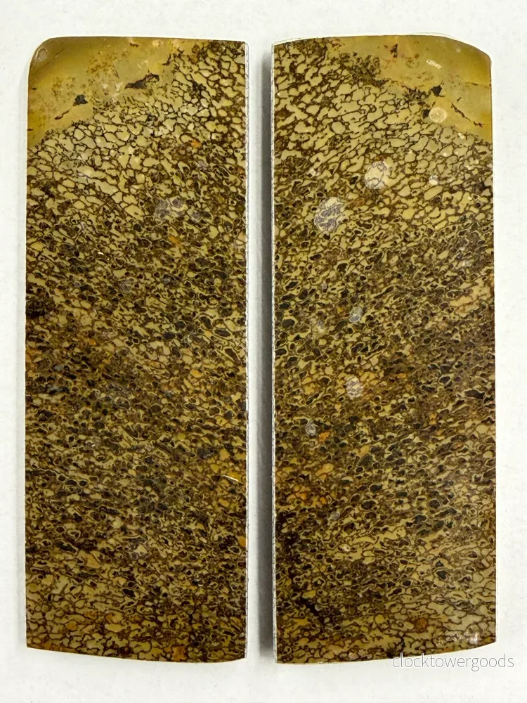 Skaftplattset av dinosauriefossil DFS-3 - Bild 3