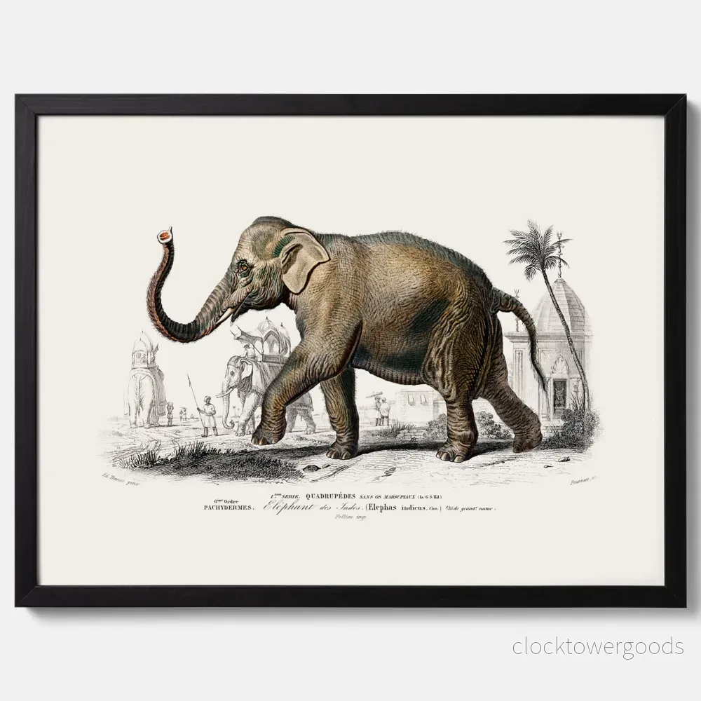Elefant poster - Bild 3