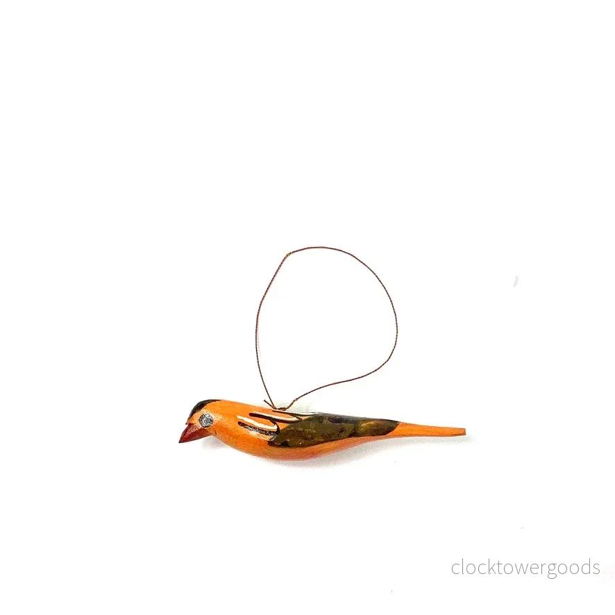 Fågel, Orange
