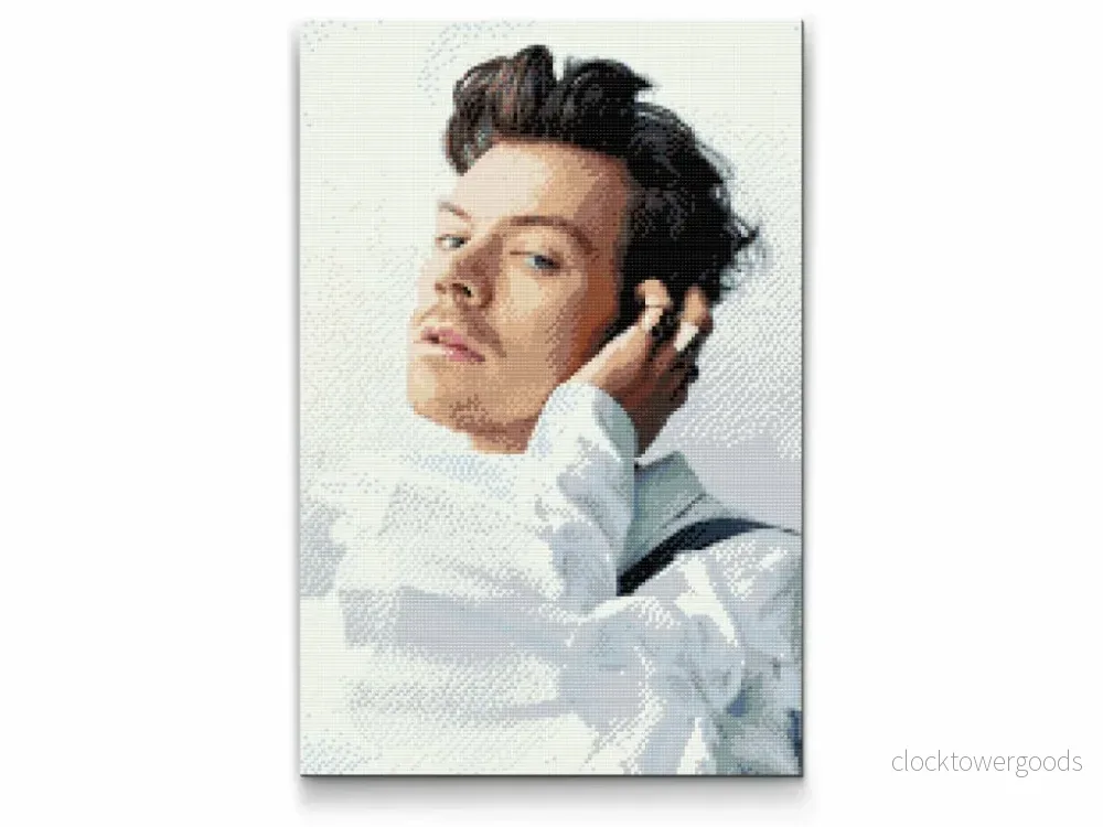 HARRY STYLES - diamond painting