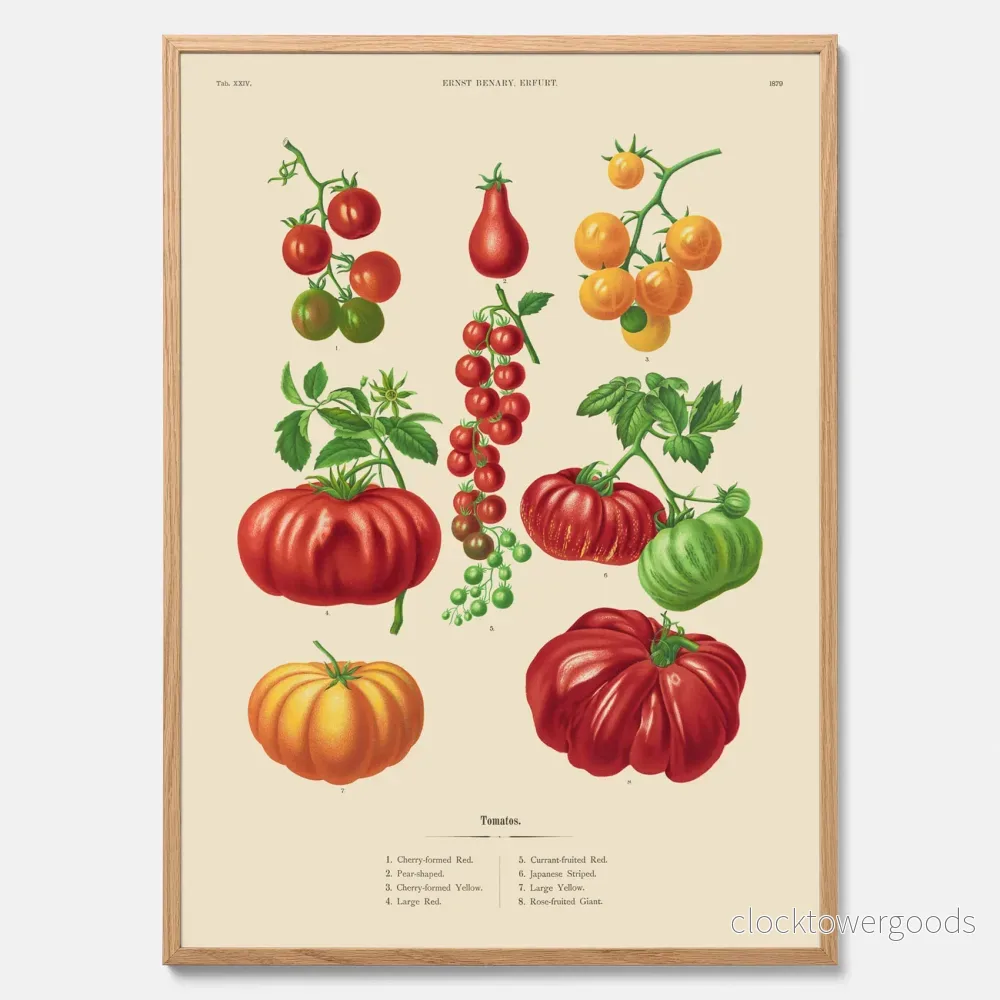 Tomater poster Tomater poster