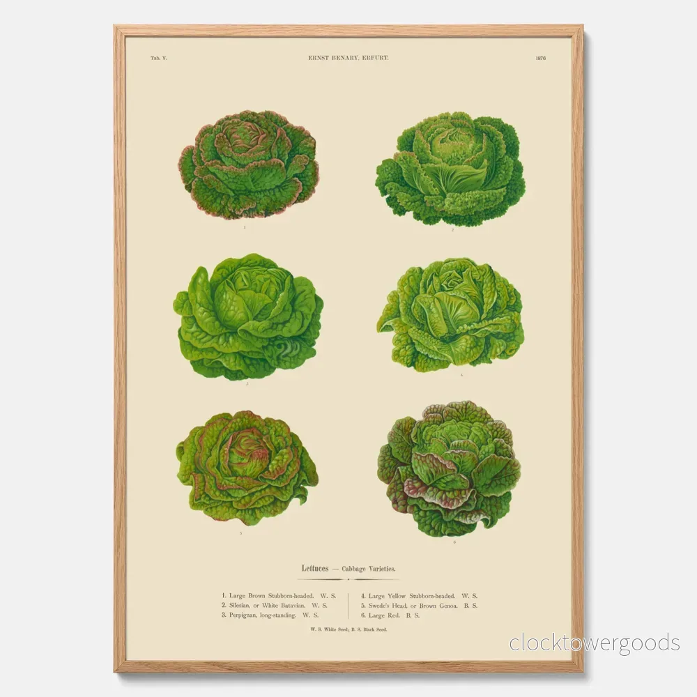 Sallad poster Sallad poster