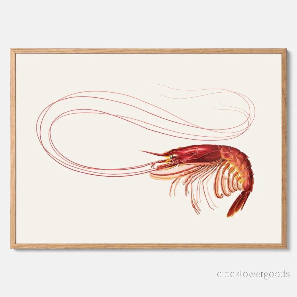 Räka poster