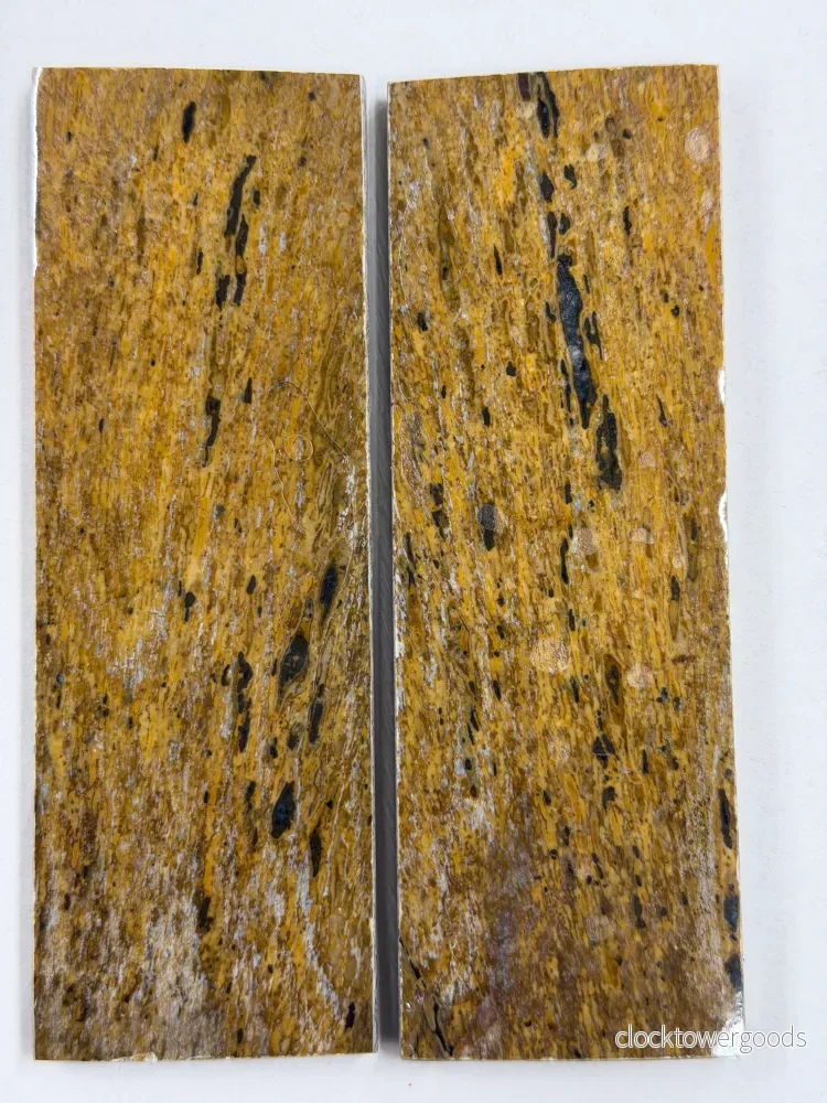 Skaftplattset av dinosauriefossil DFS-2 - Bild 3