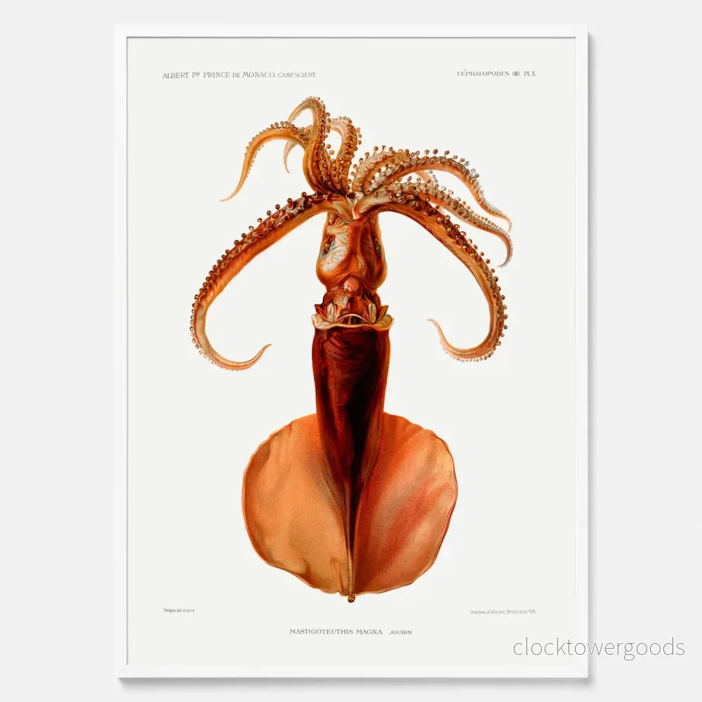 Bläckfisk No.1 poster - Bild 3