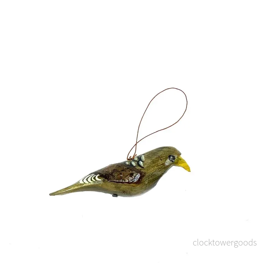 Fågel, Grå