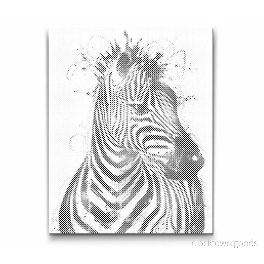 RAINBOW ZEBRA RAINBOW ZEBRA