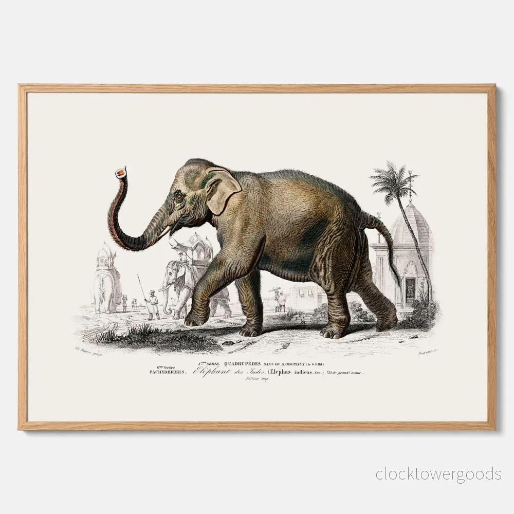 Elefant poster Elefant poster